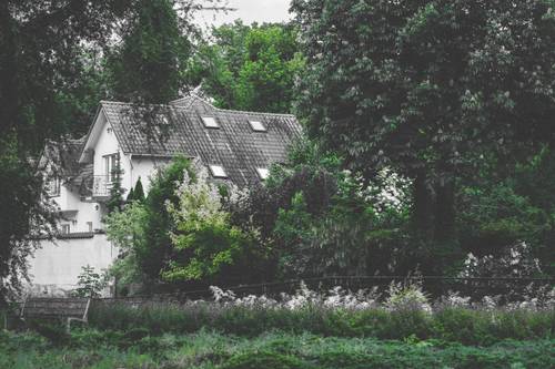 Pruszcz Zatrzymany w Kadrze