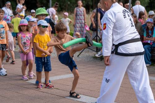 Dzieci podczas animacji. Taekwo-do.