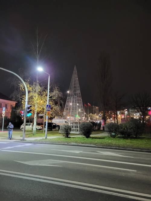 Choinka przez zapaleniem lampek.
