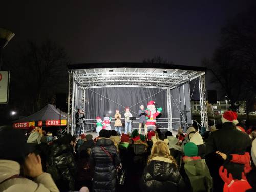 Koncert w parku w centrum miasta.