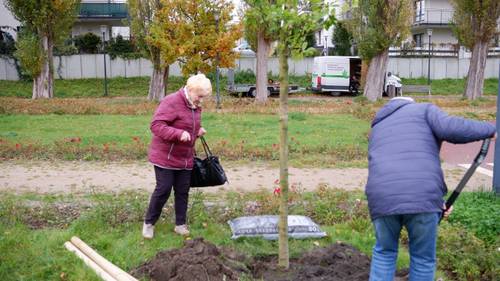 Sadzenie drzew - na zdjęciu jedna z par przy pracy