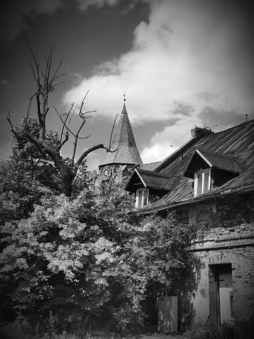 Widok na stary dom i drzewo